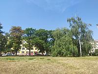 image_1020749.jpg