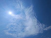 image_1020752.jpg