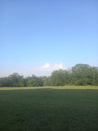 image_1020929.jpg