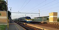 image_1020932.jpg