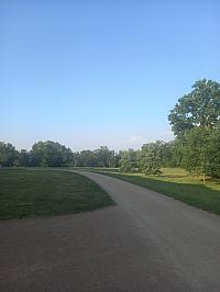 image_1020943.jpg