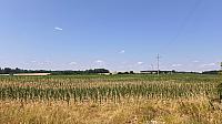 image_1020985.jpg