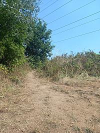 image_1020990.jpg