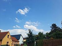 Olešná