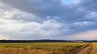 Lukovany