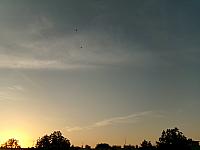 image_1027897.jpg