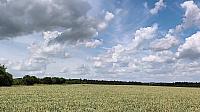video_1018062.jpg