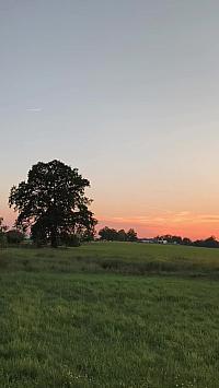 České Budějovice