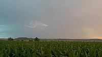 video_1018805.jpg