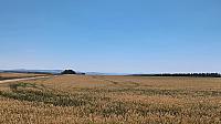 video_1020336.jpg