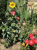 Horní Bečva - Opálený