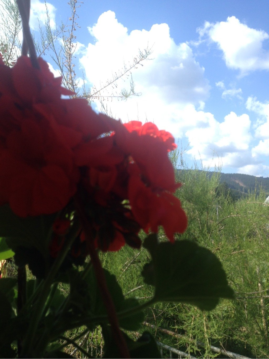 Horní Bečva - Opálený