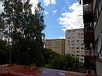 Borovina
