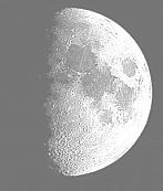 Dvůr Králové n.L.