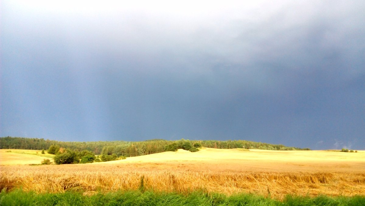 Merklín u Přeštic