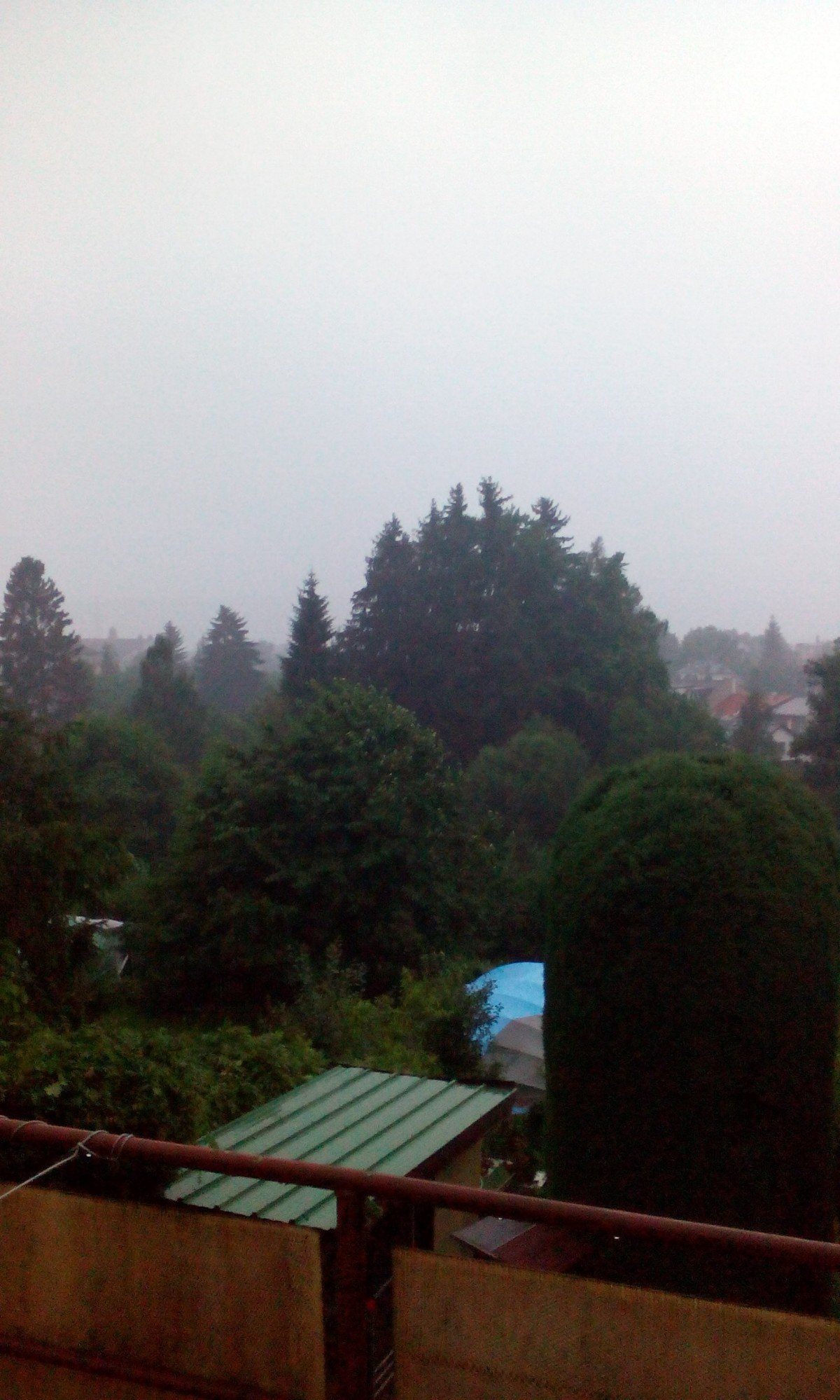 Dvůr Králové nad Labem