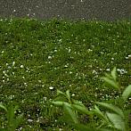 Hradec Králové - Třebeš