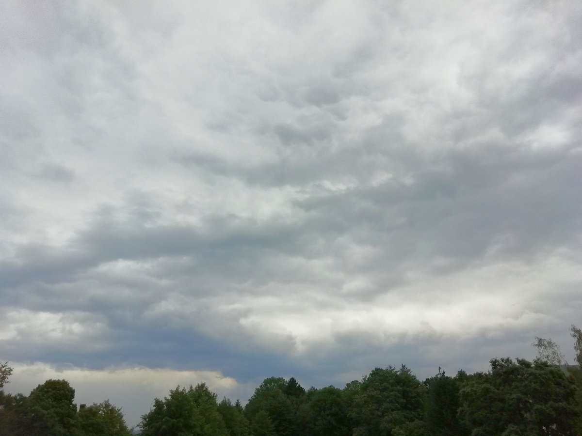 Jílové u Děčína