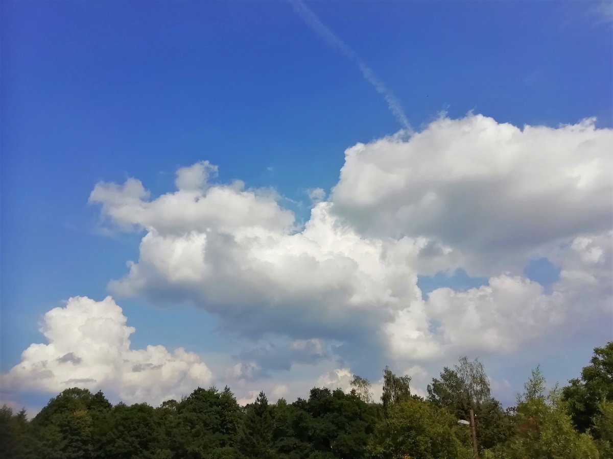 Jílové u Děčína