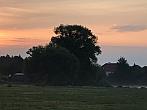 Tučapy