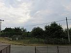 Třibřichy