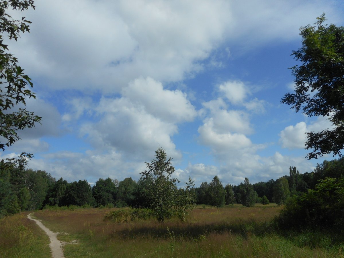 Hradec Králové - Plachta