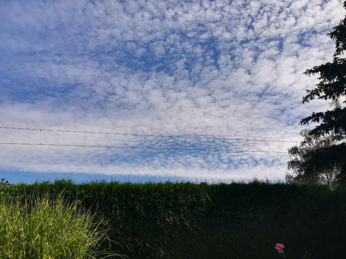 Třebechovice pod Orebem