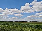 Hostákov