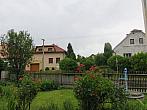Třibřichy