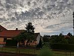 Olešná