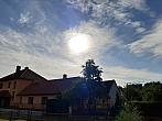 Olešná