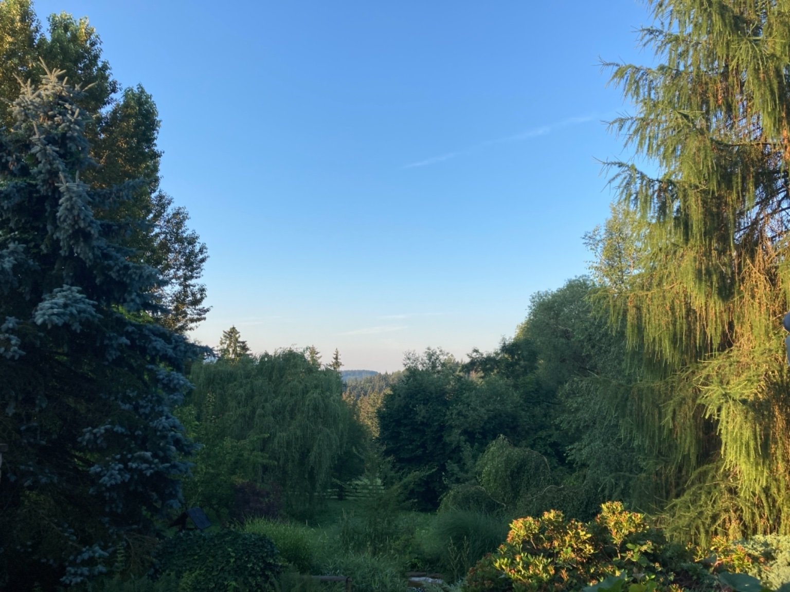 Světlá na Kozákově