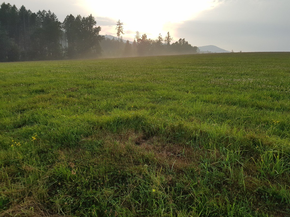 Bocanovice-Pod břehy