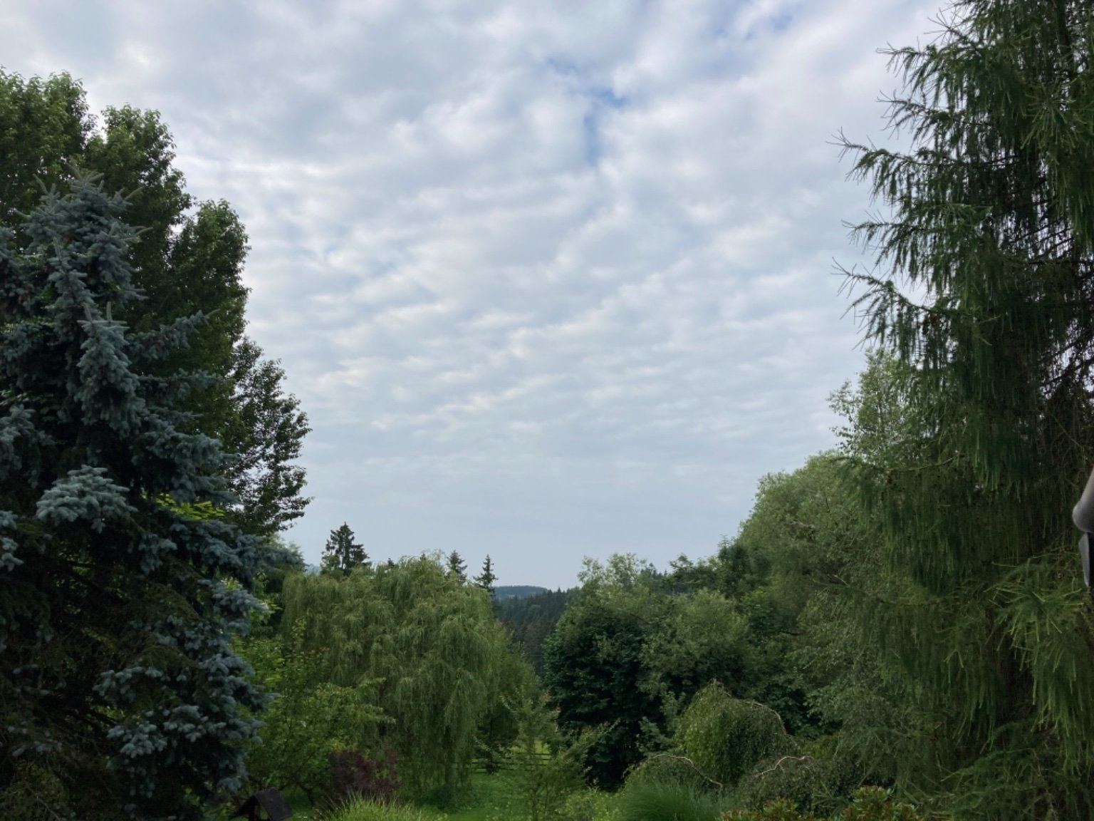 Světlá na Kozákově