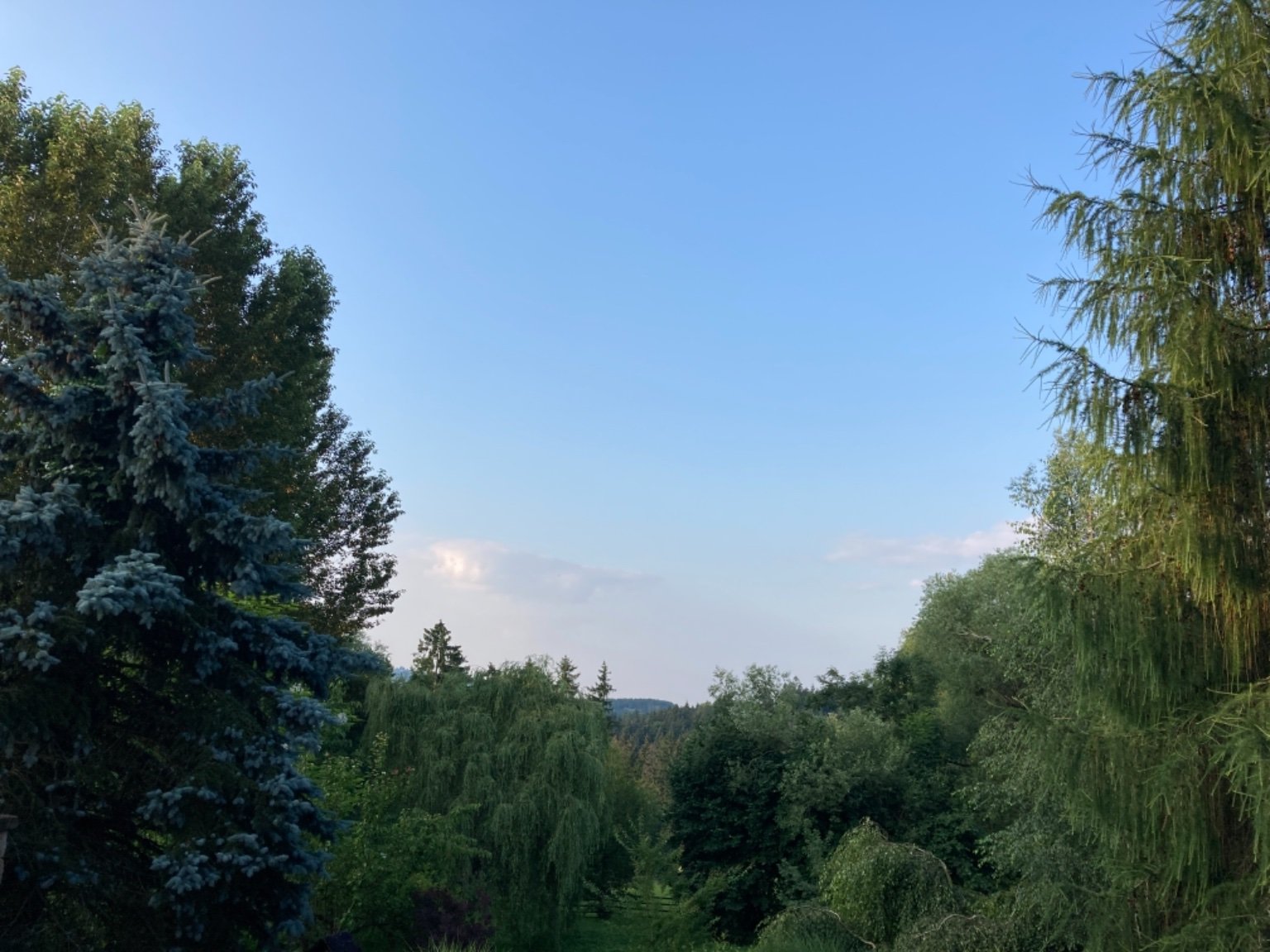 Světlá na Kozákově