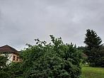 Olešná