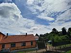 Olešná