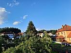 Olešná
