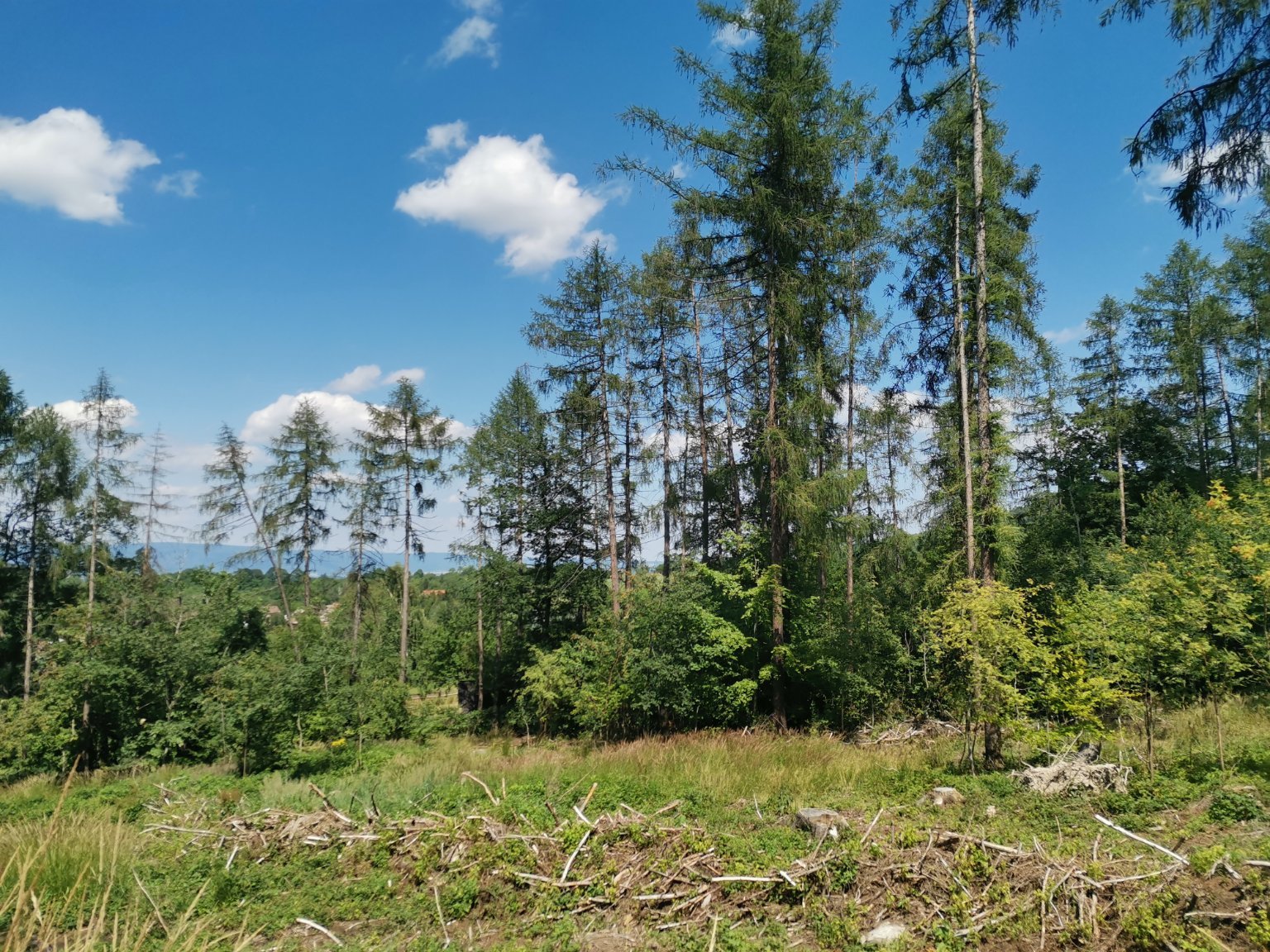 Kostomlaty pod Milešovkou