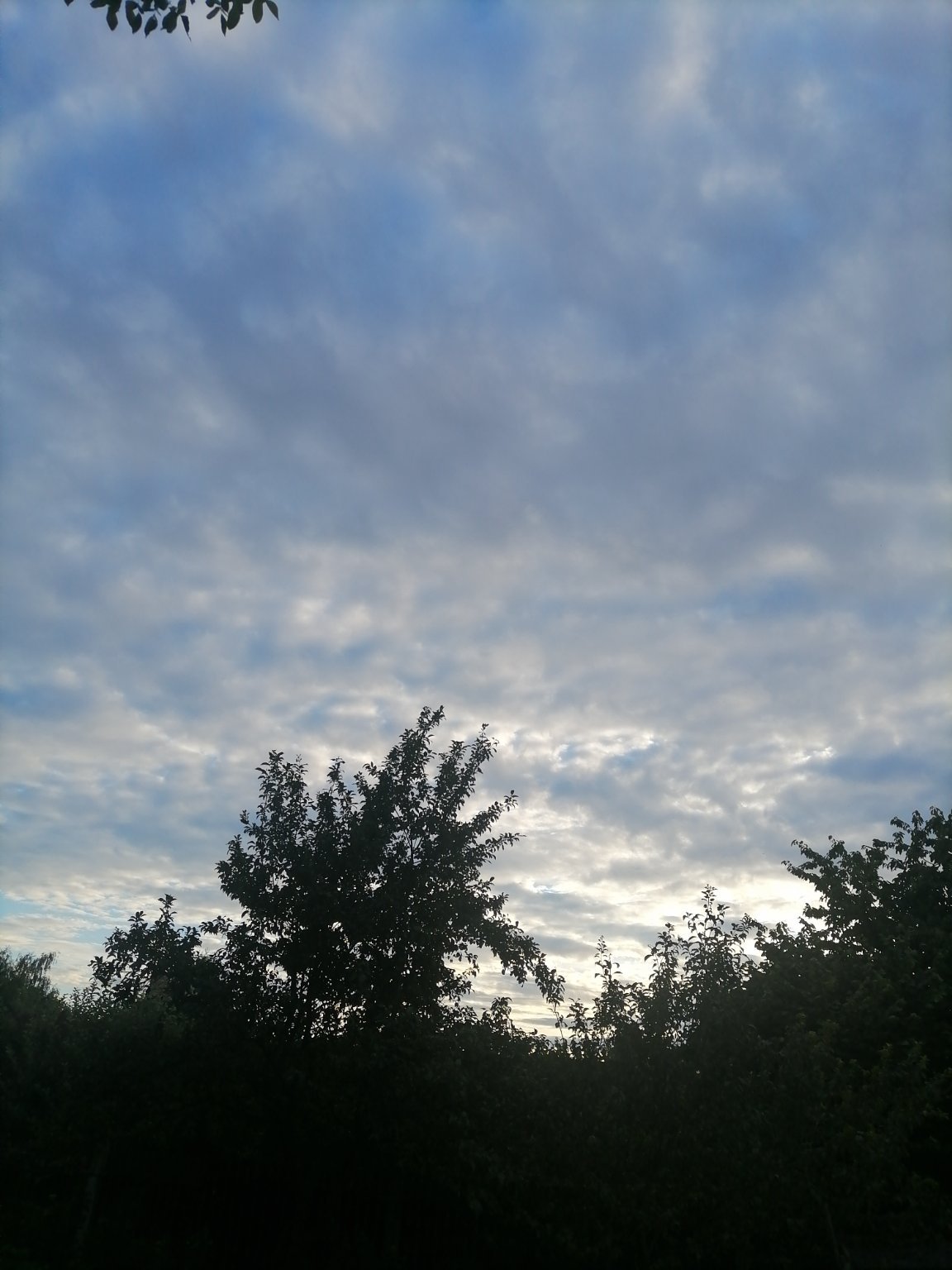 Planá nad Lužnicí