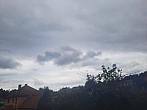 Olešná