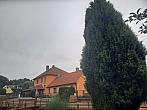 Olešná
