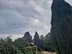 Olešná