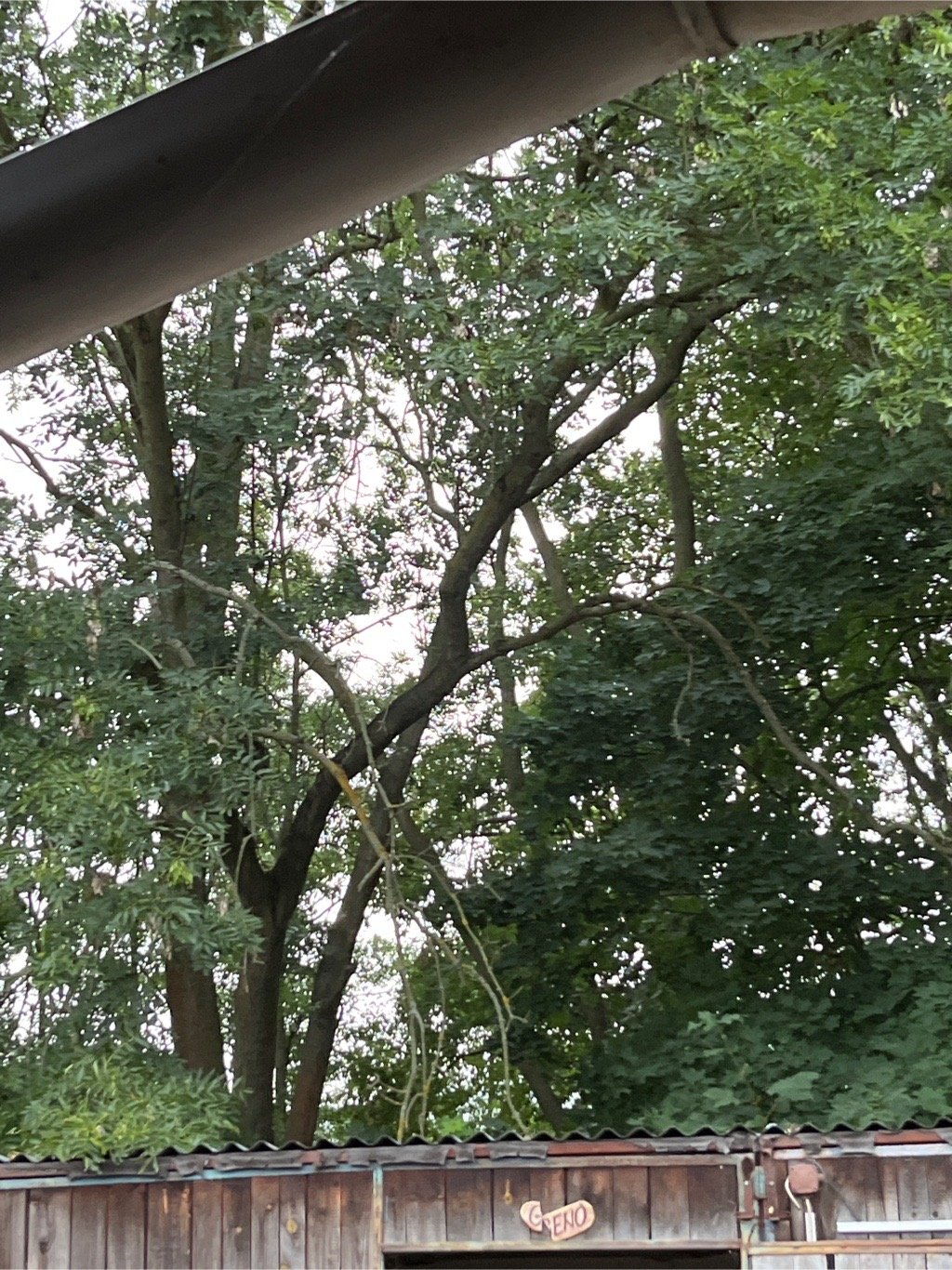 Benešov nad Ploučnicí