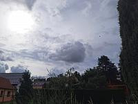 Olešná