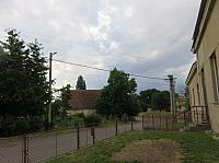 Třibřichy