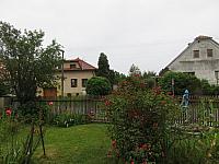 Třibřichy