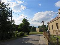 Třibřichy
