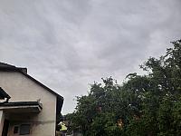 Olešná