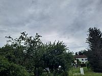 Olešná